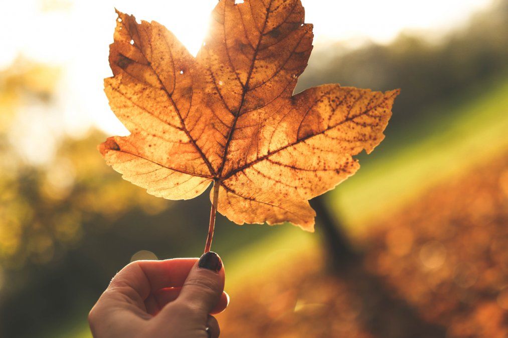 ¿Cuándo empieza el otoño en 2021?