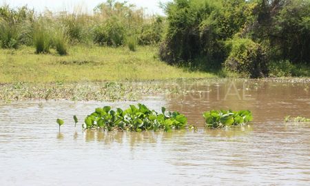 Jaaukanigás es un humedal que ocupa un área de más de 420.000 hectáreas. Es el hogar de una rica biodiversidad y tiene un enorme potencial para el turismo sustentable. Jaaukanigás es un humedal que ocupa un área de más de 420.000 hectáreas. Es el hogar de una rica biodiversidad y tiene un enorme potencial para el turismo sustentable.