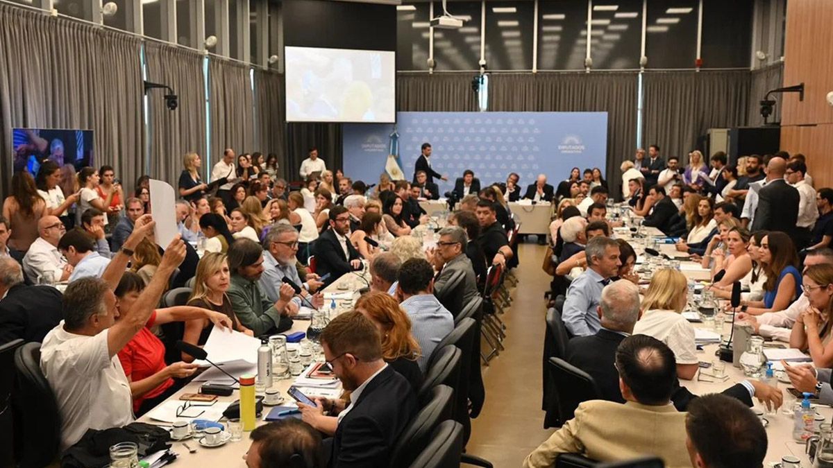 La Libertad Avanza junto a sus aliados pidió una sesión especial para mañana a las 14