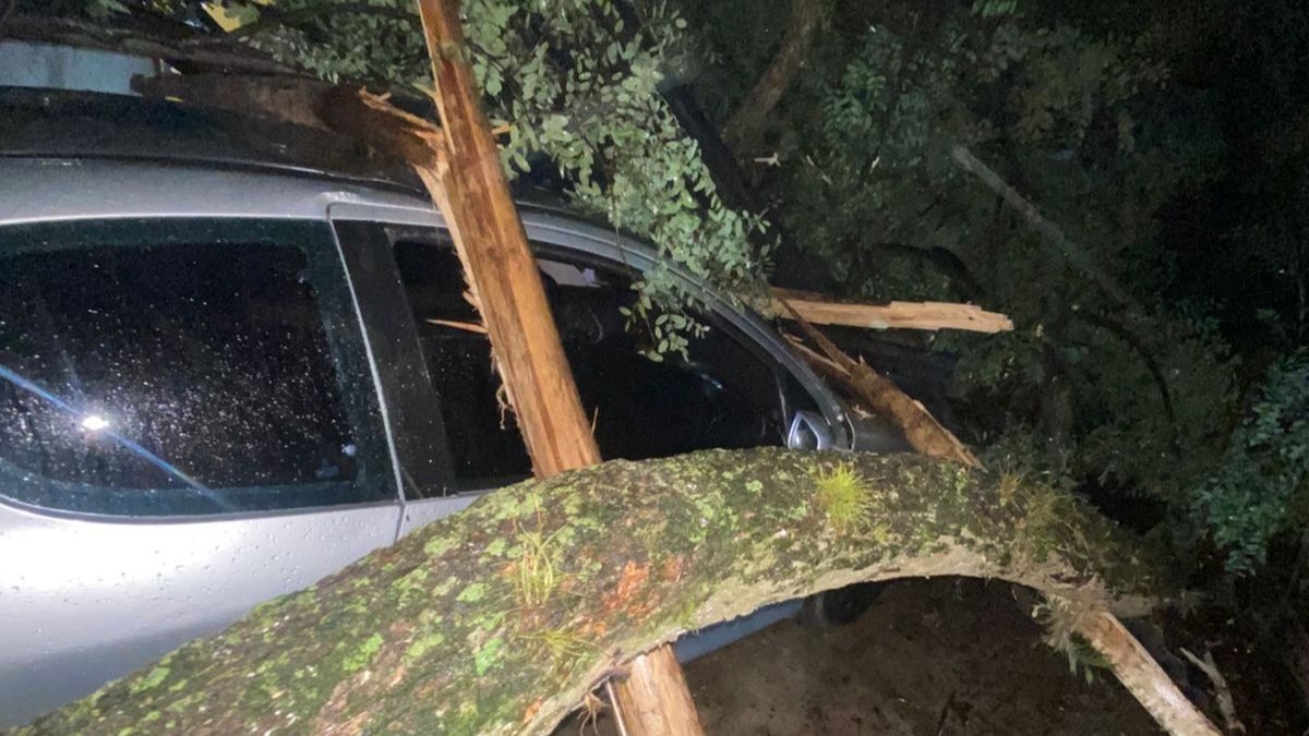 El vehículo quedó aplastado por el árbol que cayó en Colastiné Norte.