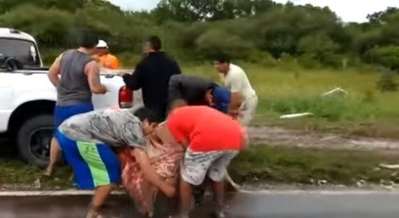 Varios casos de gastroenteritis tras las medias reses sustraídas al camión volcado en Vera