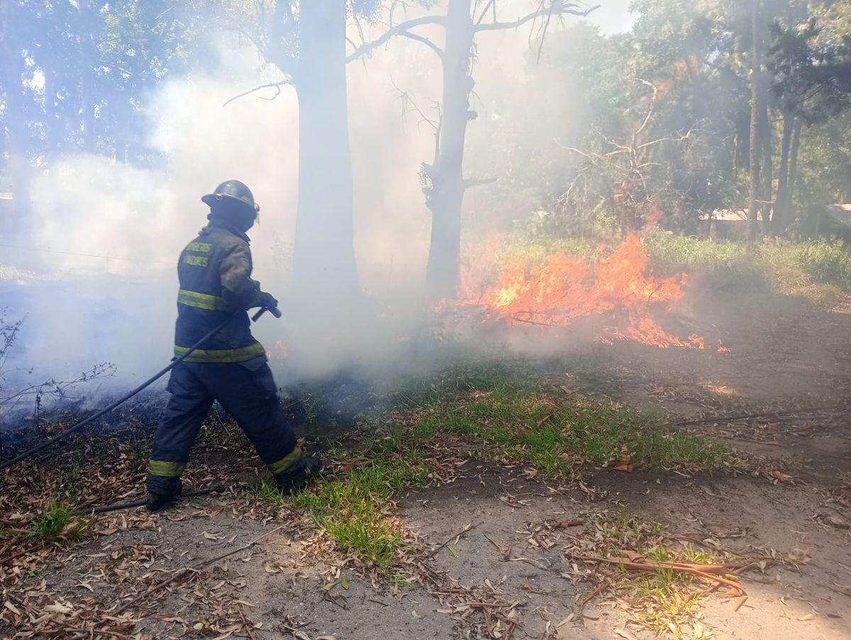 El incendio se produjo en el interior del predio