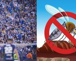 El pedido especial de la peña de Vélez en Santa Fe para los hinchas que viajen a a la final de Copa Argentina El pedido especial de la peña de Vélez en Santa Fe para los hinchas que viajen a a la final de Copa Argentina