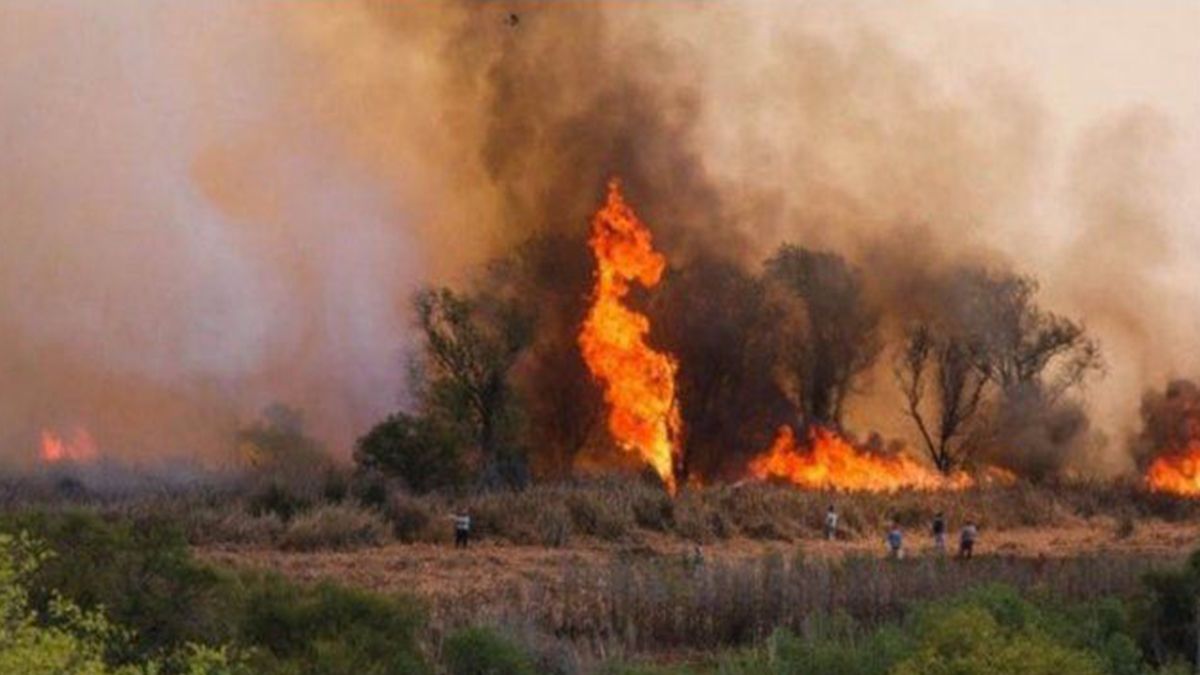 Incendios en Entre Ríos