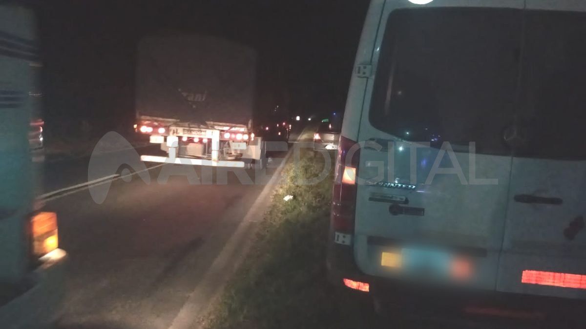 Ruta 11: transitaba en un utilitario, chocó una vaca y terminó en la banquina