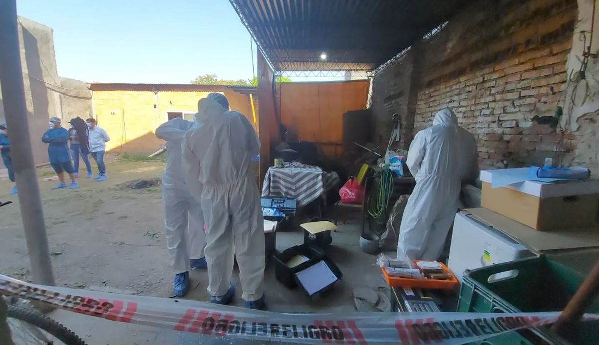 El ladrón fue encontrado atado y con mordidas en una de sus piernas.