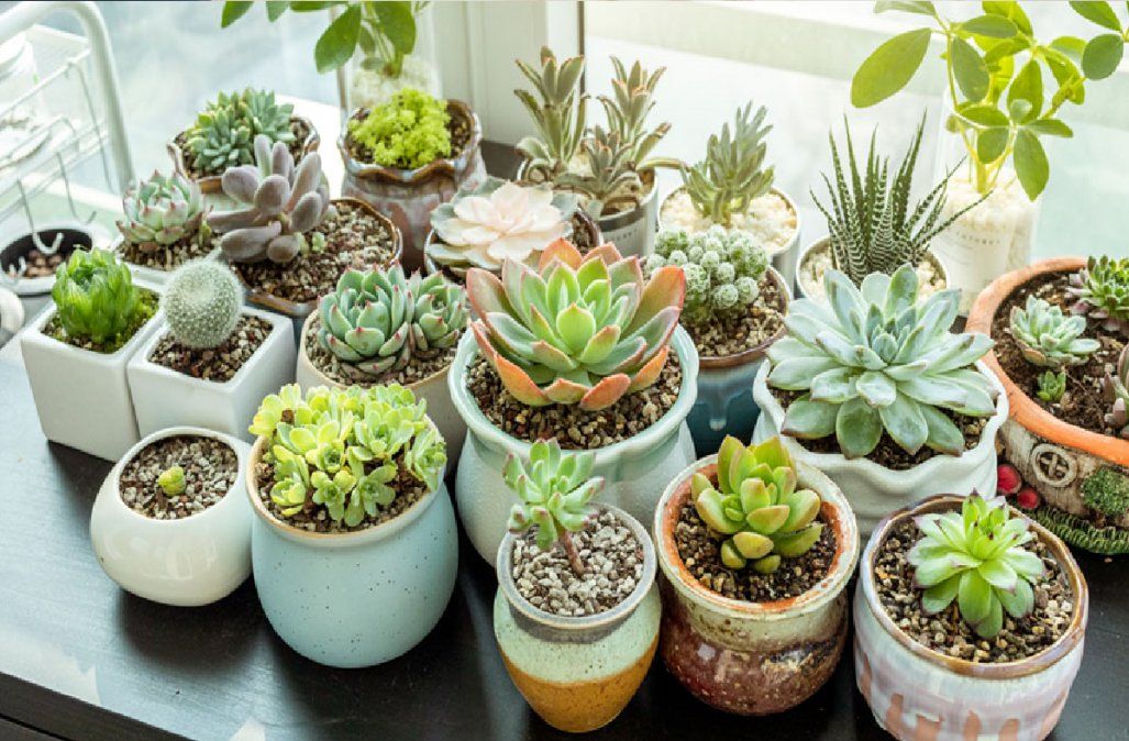 Ideas de decoración