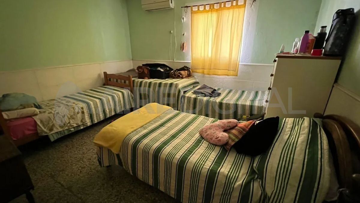 Es tanto el cariño que reciben que muchos no se quieren ir. Es tanto el cariño que reciben que muchos no se quieren ir.