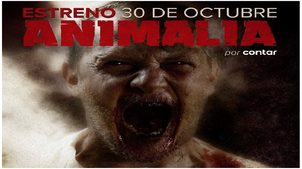 Serie B Streaming Youtube