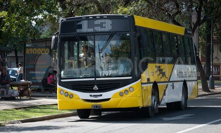 cuando va a impactar el nuevo aumento de colectivo en la ciudad de santa fe cuando va a impactar el nuevo aumento de colectivo en la ciudad de santa fe