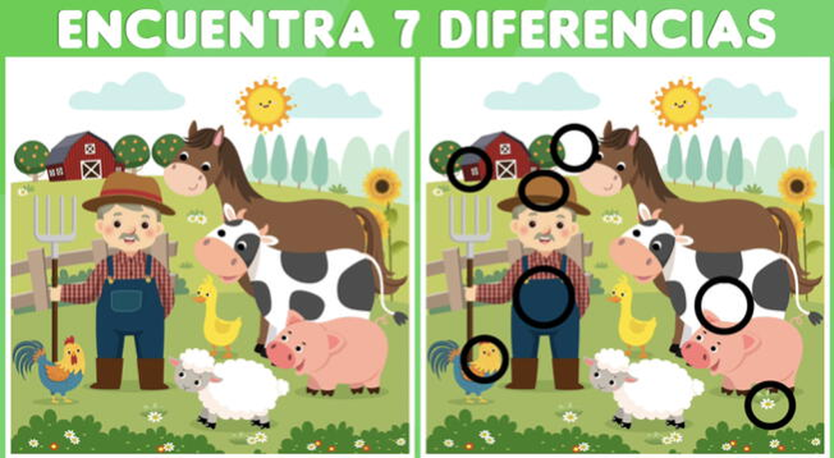 Solución del reto visual.