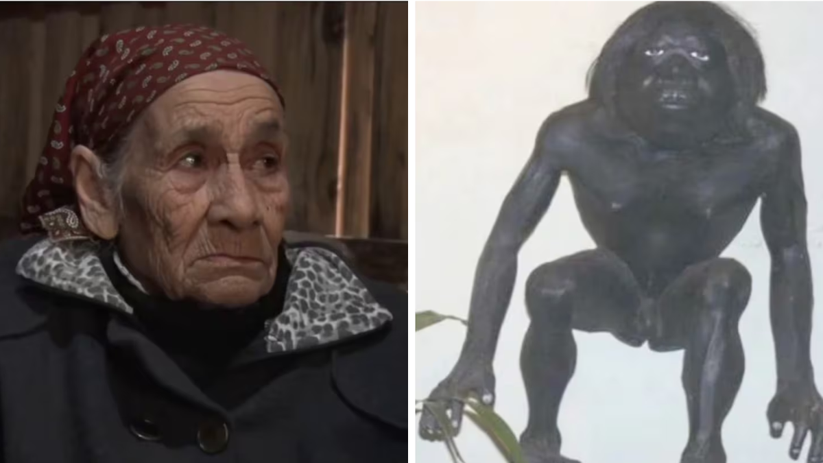 Qué es el Pomberito, la extraña criatura que nombro la abuela de Loan. Qué es el Pomberito, la extraña criatura que nombro la abuela de Loan.