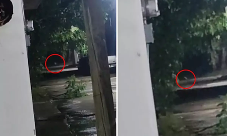 una joven salio a caminar por su barrio en la madrugada y filmo a un nino fantasma: video una joven salio a caminar por su barrio en la madrugada y filmo a un nino fantasma: video