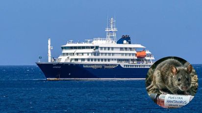 Hantavirus en el crucero: investigan si una pareja llevó el virus a bordo luego de contagiarse durante una excursión en Ushuaia