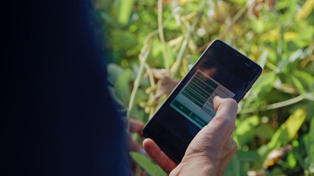 SIMA es un software para productores agrícolas que ayuda a digitalizar datos y permite controlar los cultivos desde un smartphone. SIMA es un software para productores agrícolas que ayuda a digitalizar datos y permite controlar los cultivos desde un smartphone.
