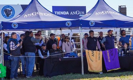 “Es un trabajo full time, todo el año”, destaca Béhèran, quien coordina más de 60 eventos anuales, entre exposiciones auspiciadas, organizadas y pruebas pastoriles. “Es un trabajo full time, todo el año”, destaca Béhèran, quien coordina más de 60 eventos anuales, entre exposiciones auspiciadas, organizadas y pruebas pastoriles.
