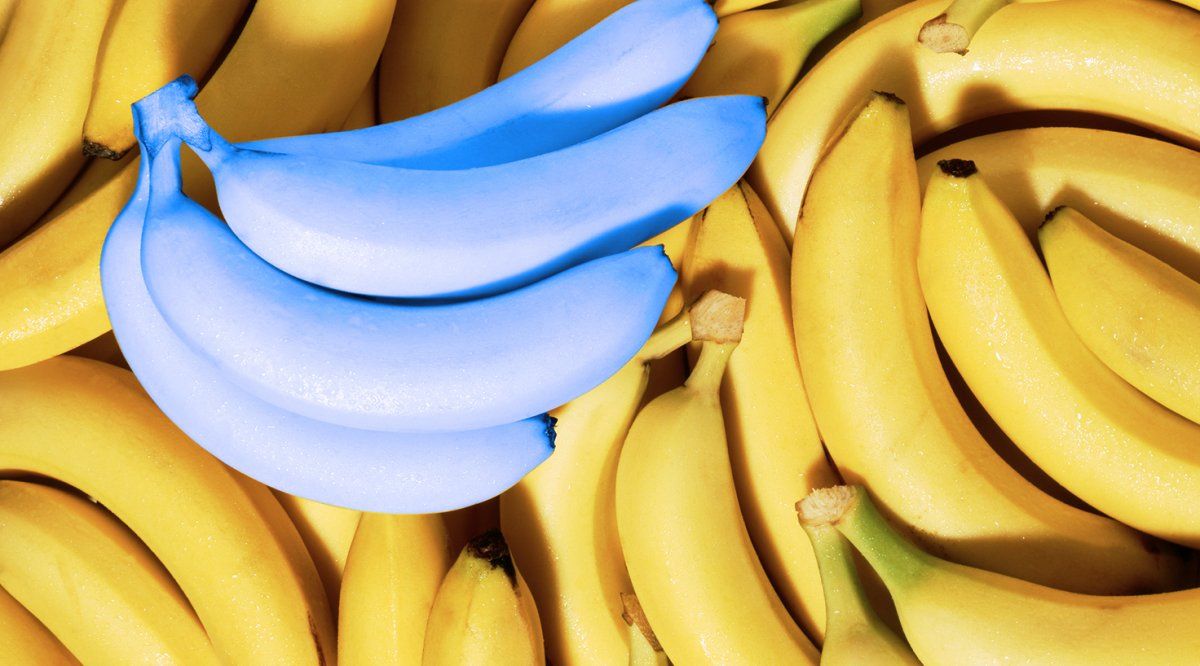 Dieta de la banana matinal para perder 8 kilogramos al mes