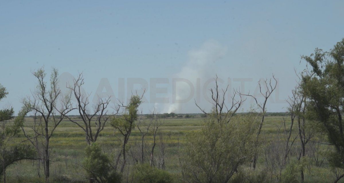 Tras los incendios grandes de agosto y septiembre de 2020