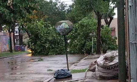 Rafaela sufrió un temporal este lunes en la madrugada. Rafaela sufrió un temporal este lunes en la madrugada.