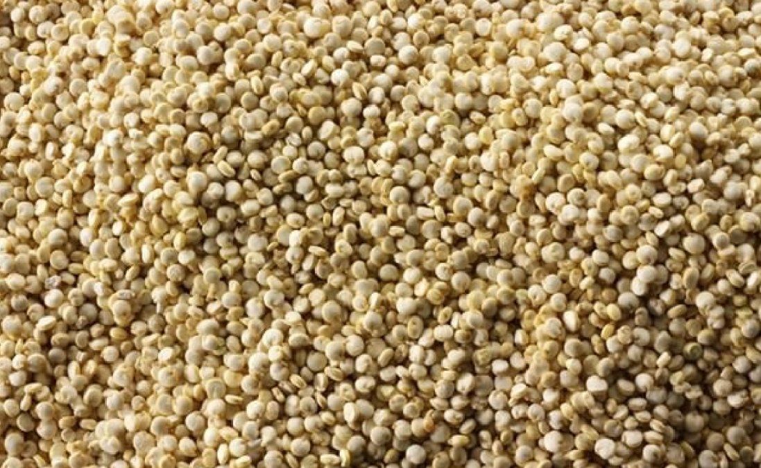 El alimento ideal para personas celíacas