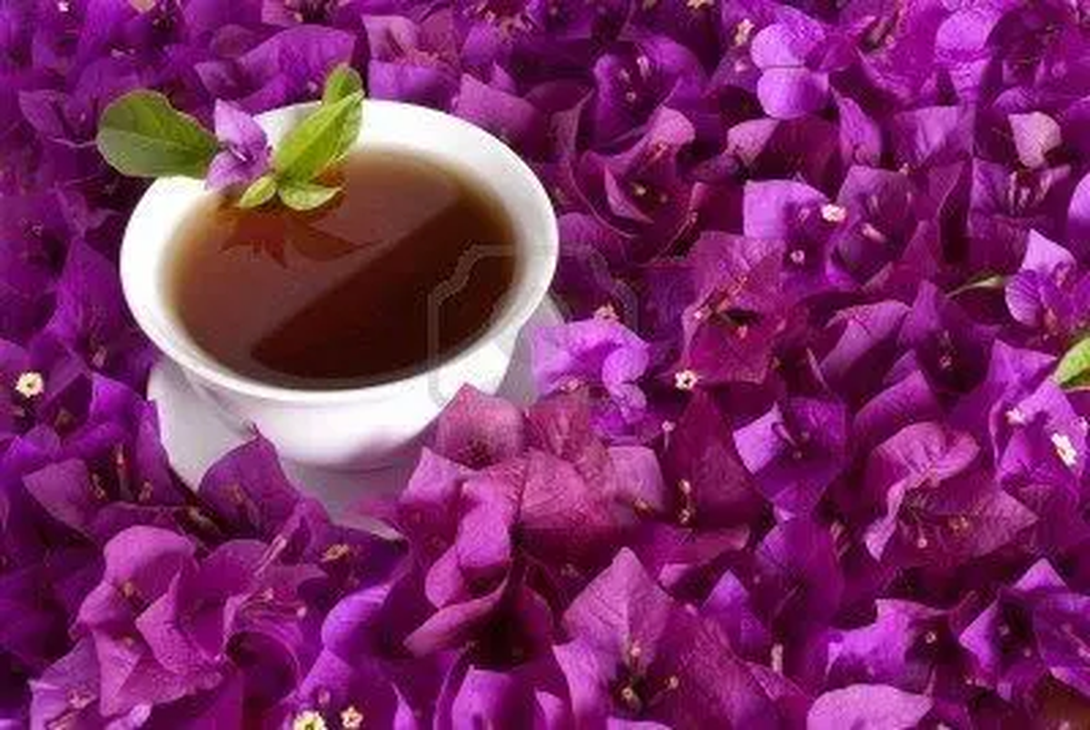 Es aconsejable agregar a la infusión de flores una cucharada de miel.