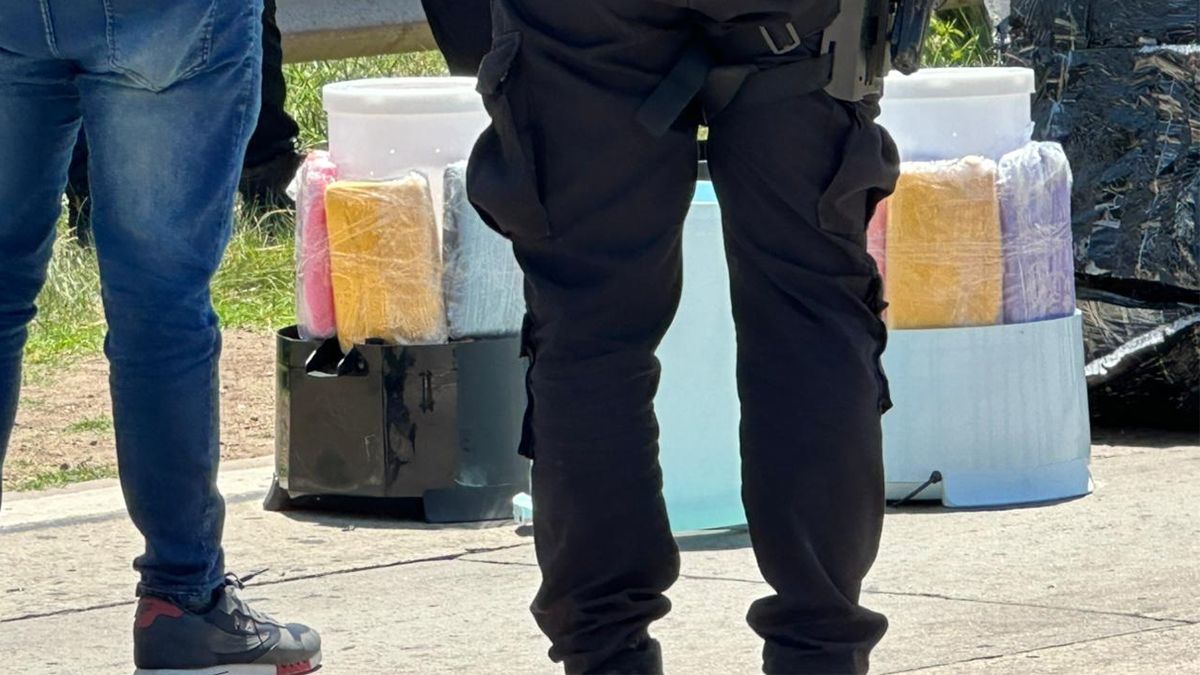 La cocaína iba dentro de dos secarropas que estaban dentro de un paquete.&nbsp;