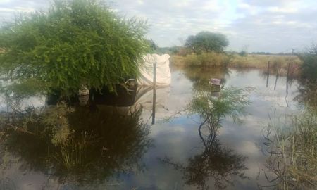 A casi un mes de las inundaciones que afectaron al norte santafesino, Villa Minetti continúa atravesando una grave crisis hídrica. A casi un mes de las inundaciones que afectaron al norte santafesino, Villa Minetti continúa atravesando una grave crisis hídrica.