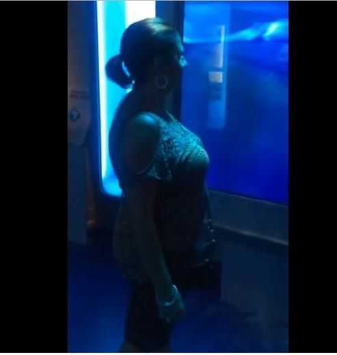 Una mujer toca un tanque de tiburones y se lleva una sorpresa terrorífica