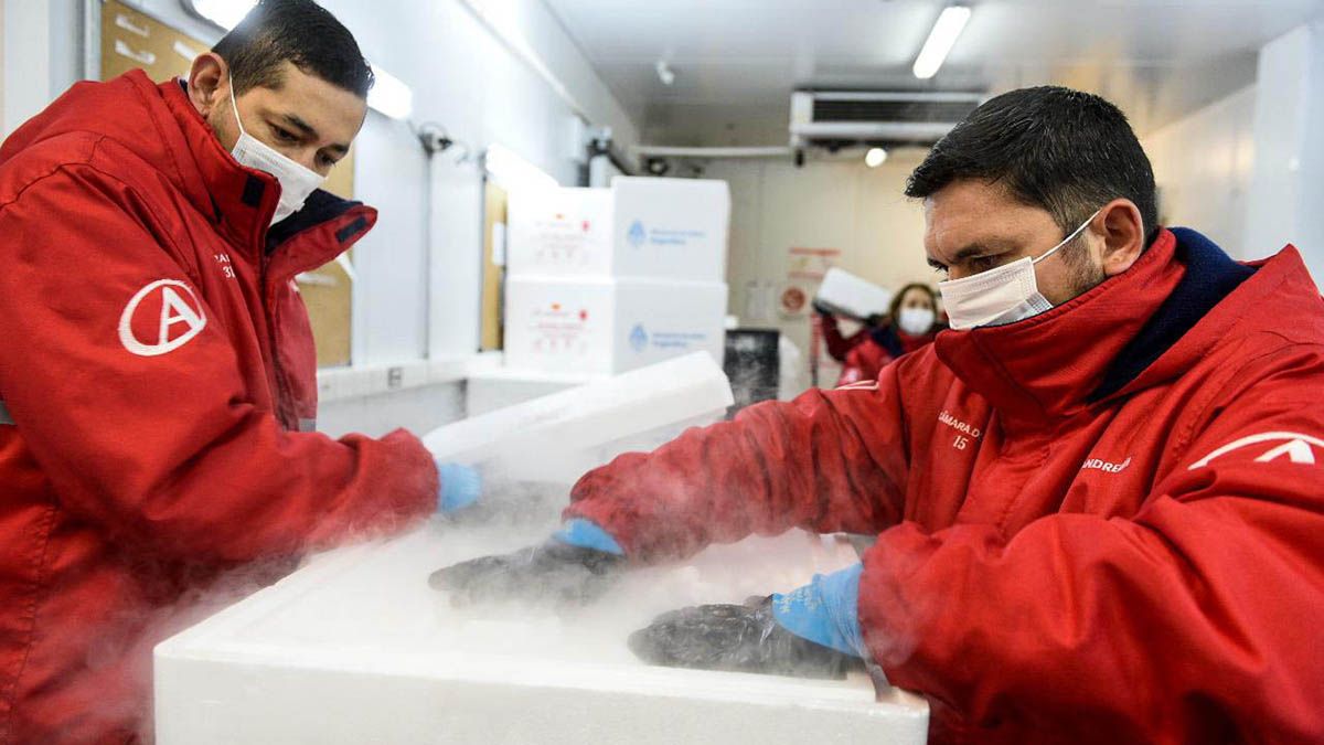 Este lunes a la mañana llegan vacunas y se reanuda la vacunación por la tarde.&nbsp;