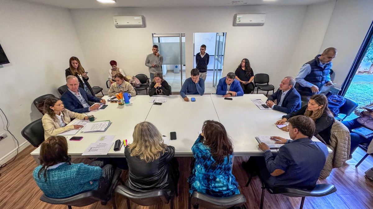El proyecto crea la Comisión Provincial para el Debate y Elaboración de una Ley de Educación, un ámbito de carácter consultivo y participativo que deberá organizar foros, paneles, audiencias y encuentros. El proyecto crea la Comisión Provincial para el Debate y Elaboración de una Ley de Educación, un ámbito de carácter consultivo y participativo que deberá organizar foros, paneles, audiencias y encuentros.