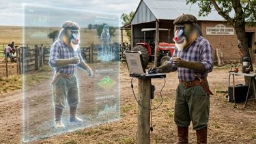 La inteligencia artificial nos salvó del desastre: productores sin retenciones que seguían quejándose La inteligencia artificial nos salvó del desastre: productores sin retenciones que seguían quejándose