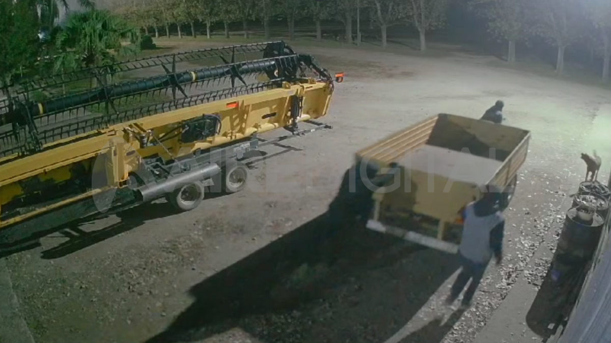 Así se robaban un acoplado de un campo de Angélica