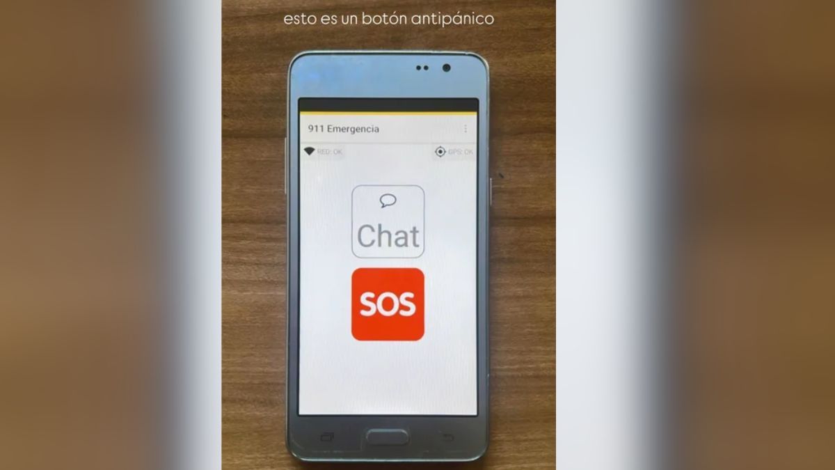 Celeste Cid compartió un comunicado que alarmó a todos. Celeste Cid compartió un comunicado que alarmó a todos.