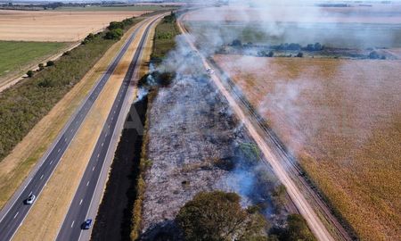 Tres importantes incendios de pastizales complican la circulación de vehículos en dos puntos de la autopista Santa Fe – Rosario. Tres importantes incendios de pastizales complican la circulación de vehículos en dos puntos de la autopista Santa Fe – Rosario.