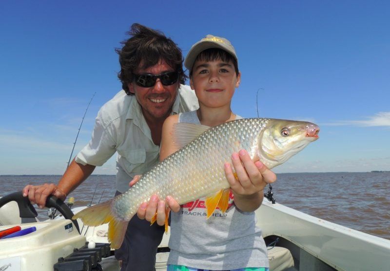 Federación te enamora