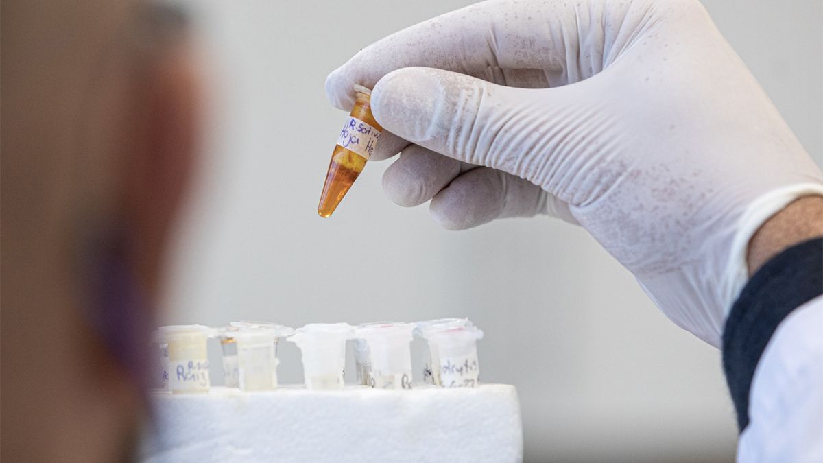 El estudio fue aprobado por el Ministerio de Salud de la Nación.