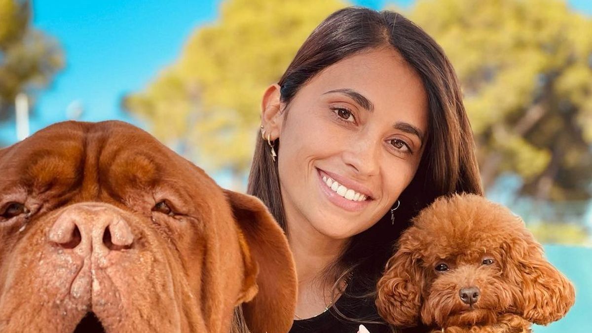 Antonela Roccuzzo cautivó a sus fanáticos con su virtuosismo: posturas acrobáticas de yoga