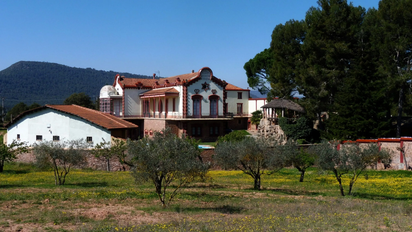 Así es la fabulosa casa de Rosalía en Barcelona: detalles únicos y muchos colores