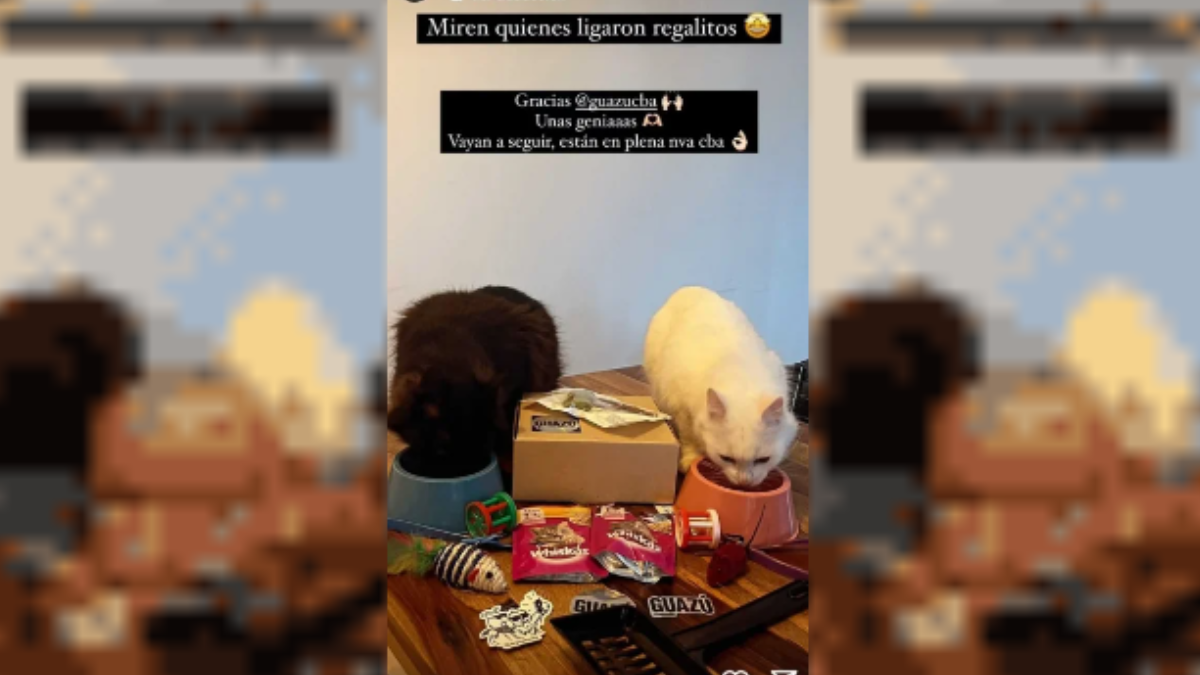 Facundo Bono mostró en sus redes sociales lo que le regaló un emprendimiento de su provincia, Córdoba. Facundo Bono mostró en sus redes sociales lo que le regaló un emprendimiento de su provincia, Córdoba.