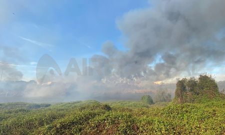 Un incendio de pastizales se reporta en los reservorios que se encuentran al costado de Circunvalación Oeste. Un incendio de pastizales se reporta en los reservorios que se encuentran al costado de Circunvalación Oeste.