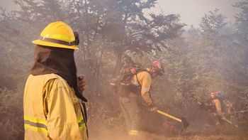 Brigadistas santafesinos ya combaten los incendios forestales en Puerto Patriada, en Chubut