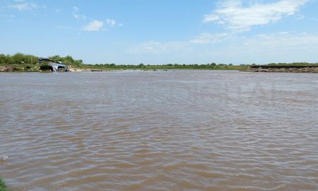 Contaminación por plaguicidas en el Río Salado: un estudio alerta sobre la fauna acuática en Santa Fe. Contaminación por plaguicidas en el Río Salado: un estudio alerta sobre la fauna acuática en Santa Fe.