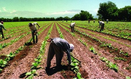 el gobierno nacional propone 0% de retenciones para economias regionales el gobierno nacional propone 0% de retenciones para economias regionales