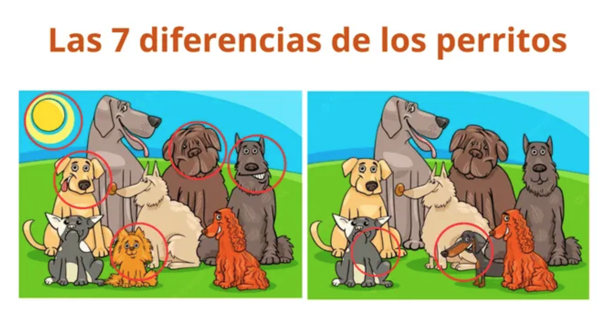 La solución del reto visual.