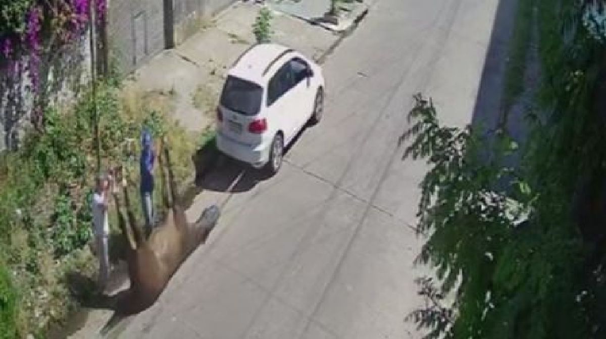 &nbsp;Indignación en La Plata: arrastran un caballo muerto con el auto