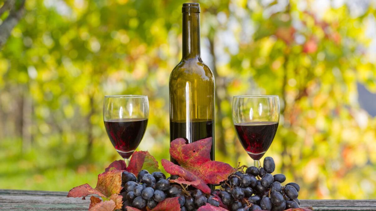 Producen vinos tintos y blancos, de los varietales, Malbec, Marselan, Tannat, Viognier Chardonnay y Cabernet Sauvignon. 