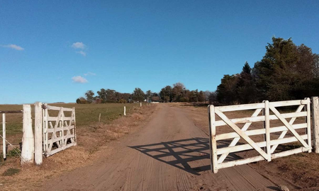 Chubut: robaron ovejas y dejaron las cabezas en una tranquera Chubut: robaron ovejas y dejaron las cabezas en una tranquera
