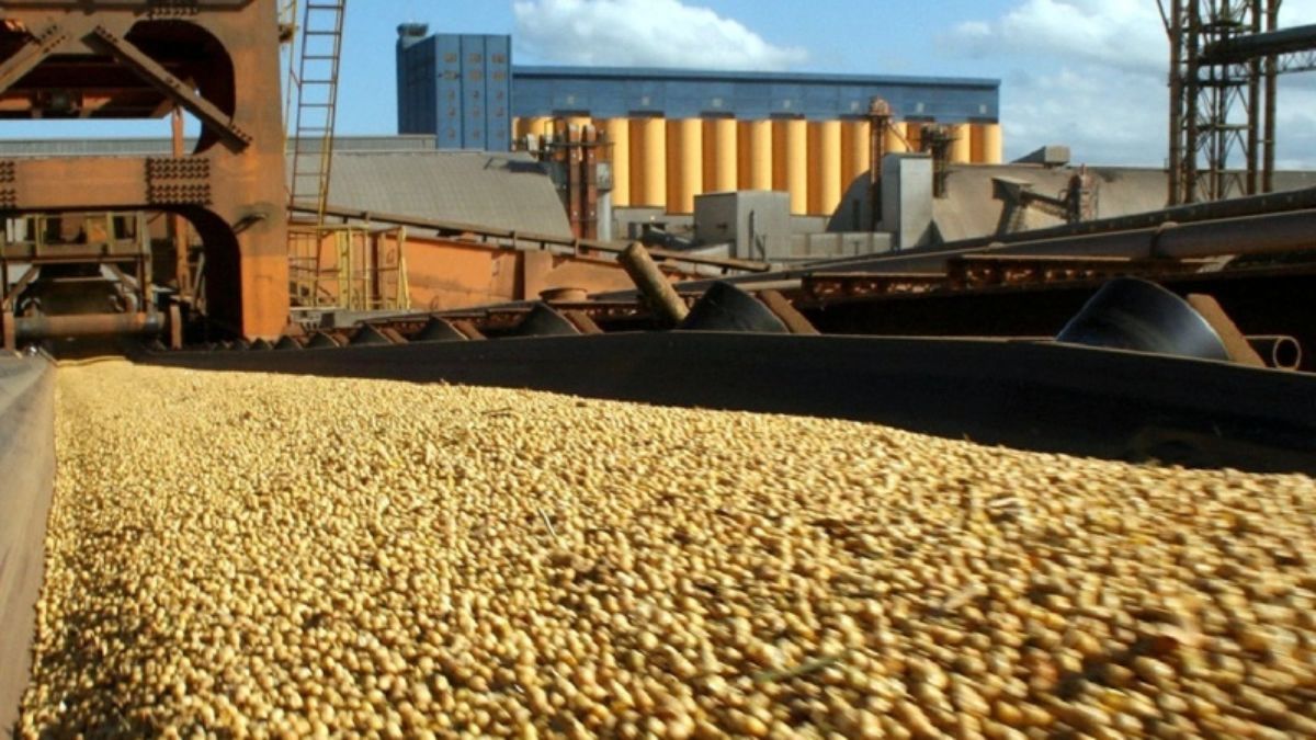 El titular de la cartera productiva advirtió que la mayoría de las empresas del sector son de capitales nacionales y que la medida afectaría negativamente tanto a la producción como al empleo en la región.