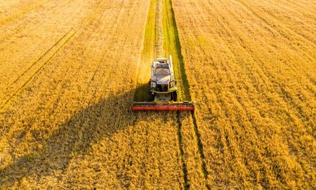 aunque bajaron las retenciones, los impuestos siguen absorbiendo mas de la mitad de la renta agricola aunque bajaron las retenciones, los impuestos siguen absorbiendo mas de la mitad de la renta agricola