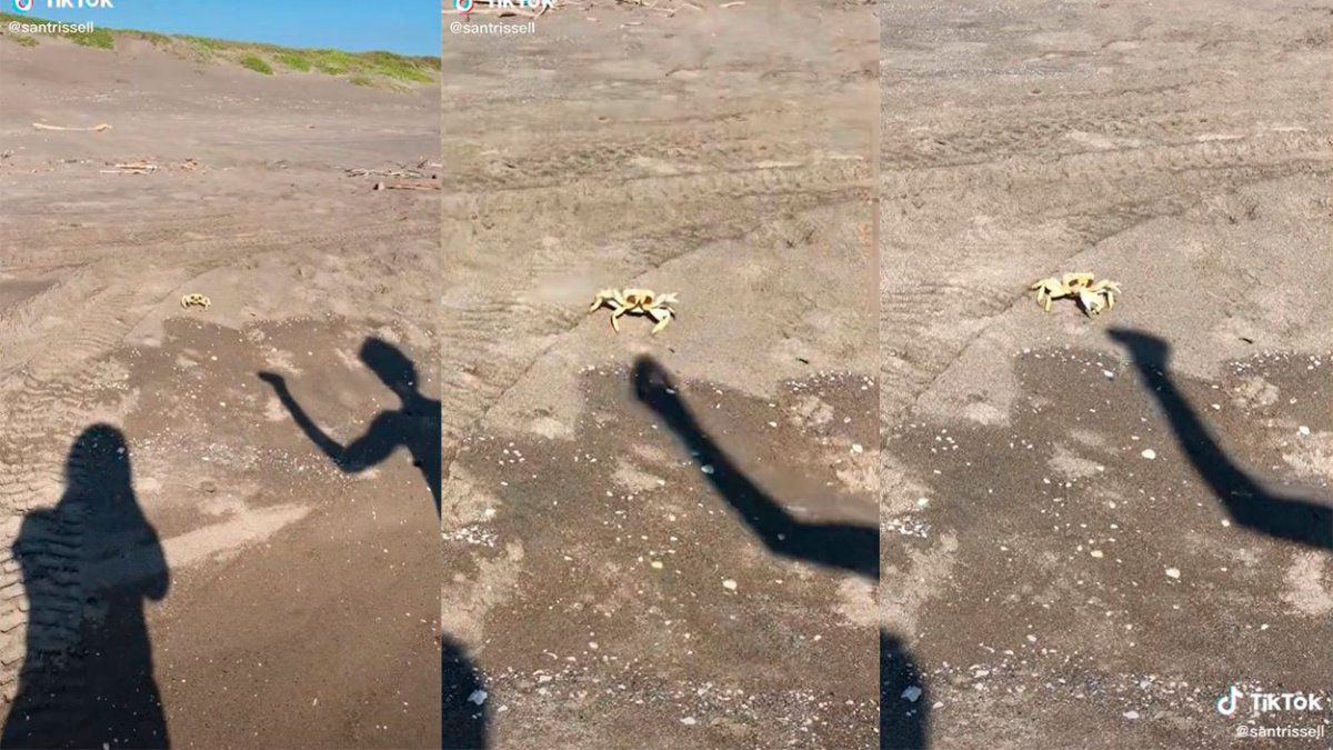 El video ya recolecta más de 6 millones de visitas.